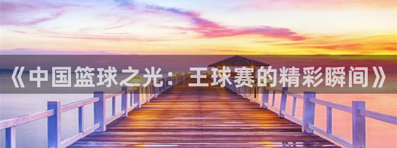 《中国篮球之光：王球赛的精彩瞬间》