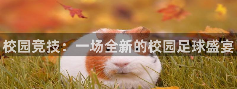 中欧体育能不能玩：校园竞技：一场全新的校园足球盛宴