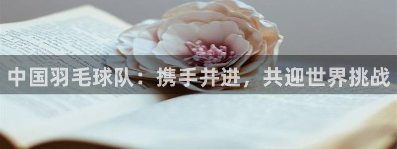 中欧体育官网入口app：中国羽毛球队：携手并进，共迎世界挑战