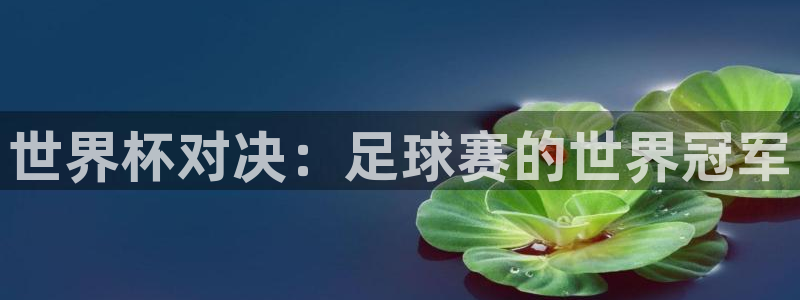 中欧体育平台合法吗：世界杯对决：足球赛的世界冠军